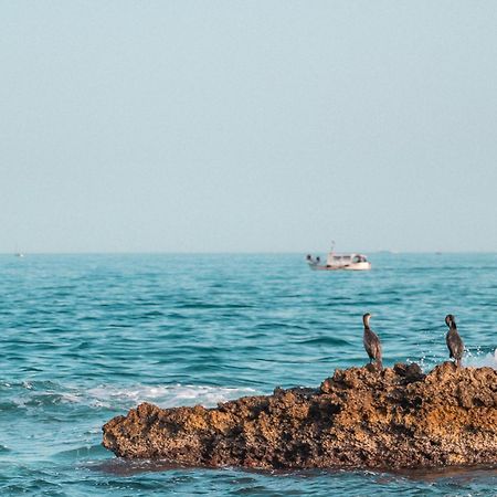 Superbe T3 Bord De Mer Сосе-ле-Па Екстериор снимка